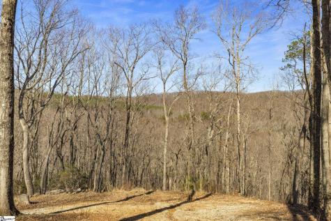 314 Mountain Lake Lane Travelers Rest SC 29690