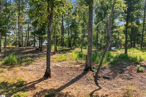 104 Waterfall Overlook Way Easley SC 29640