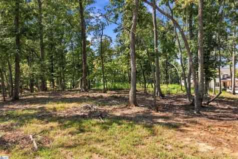 104 Waterfall Overlook Way Easley SC 29640