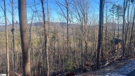 109 Stone Creek Court Pickens SC 29671