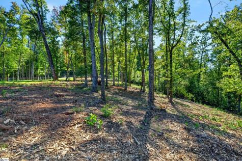540 Chinquapin Road Travelers Rest SC 29690