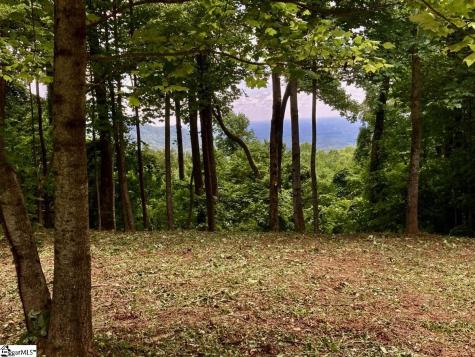 100 Deep Haven Lane Landrum SC 29356