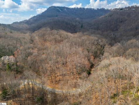 301 Limestone Trail Landrum SC 29356