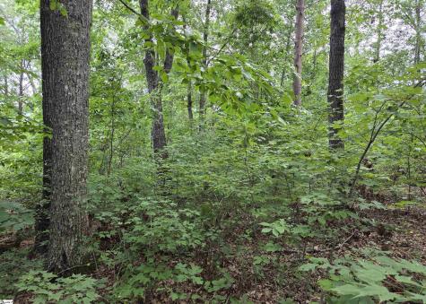 219 Luberon Lane Travelers Rest SC 29690