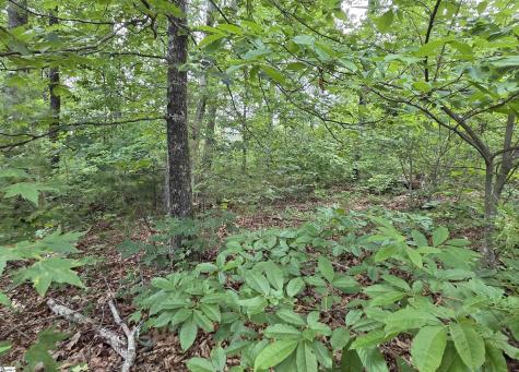219 Luberon Lane Travelers Rest SC 29690