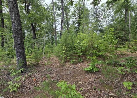 219 Luberon Lane Travelers Rest SC 29690