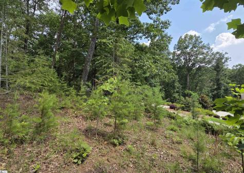 219 Luberon Lane Travelers Rest SC 29690