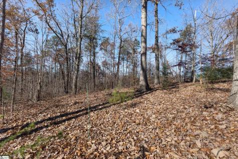 219 Luberon Lane Travelers Rest SC 29690