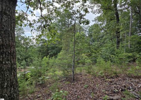 219 Luberon Lane Travelers Rest SC 29690