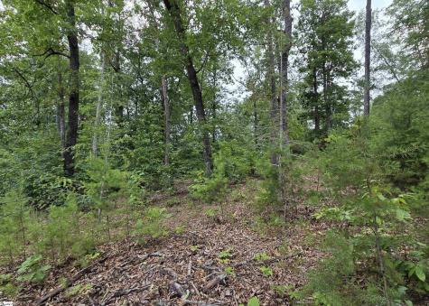 219 Luberon Lane Travelers Rest SC 29690