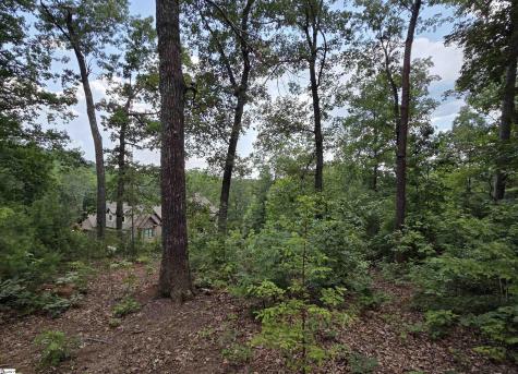 219 Luberon Lane Travelers Rest SC 29690