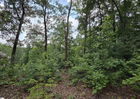 219 Luberon Lane Travelers Rest SC 29690