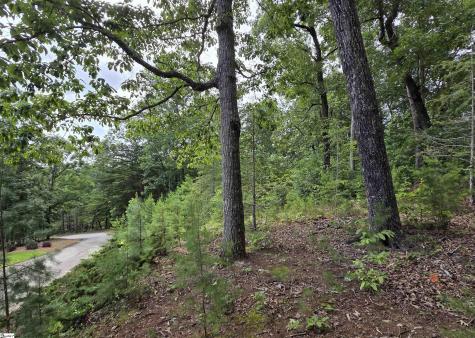 219 Luberon Lane Travelers Rest SC 29690