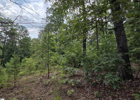 219 Luberon Lane Travelers Rest SC 29690