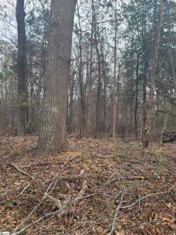 Thompson Drive Greenville SC 29607