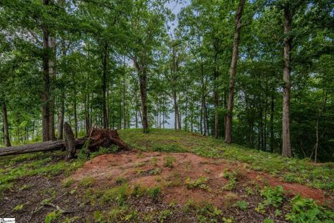233 Sandy Hollow Court Six Mile SC 29682