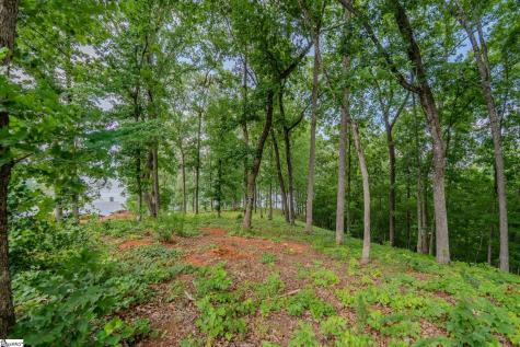 233 Sandy Hollow Court Six Mile SC 29682
