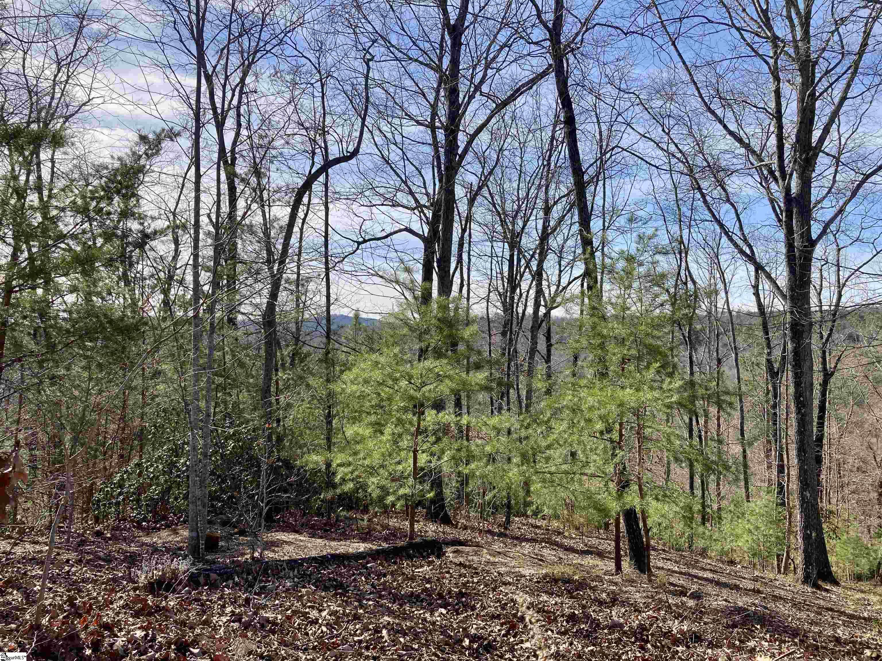 435 Augusta Links Trail Travelers Rest SC 29690