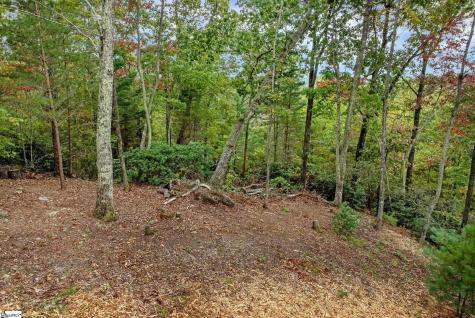 435 Augusta Links Trail Travelers Rest SC 29690