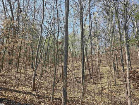 759 Durham Brown Road Seneca SC 29678