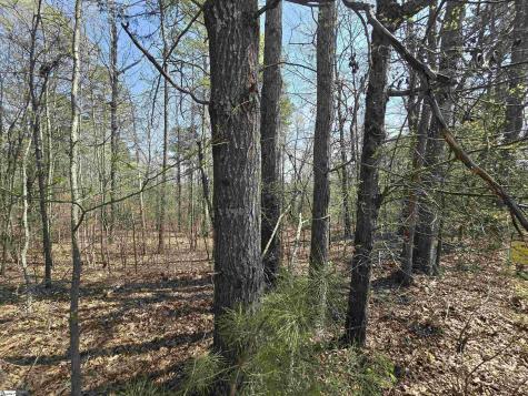 759 Durham Brown Road Seneca SC 29678