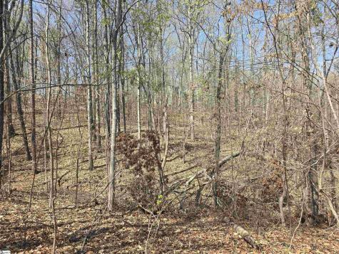 759 Durham Brown Road Seneca SC 29678