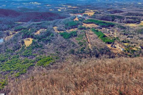 00 Highway 11 Landrum SC 29356
