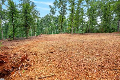 237 W Chapman Road Belton SC 29627
