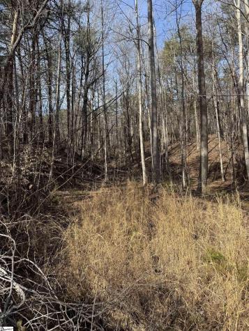 Butter Street Landrum SC 29356