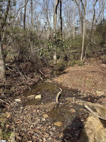 Butter Street Landrum SC 29356
