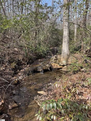 Butter Street Landrum SC 29356