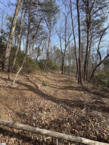 Butter Street Landrum SC 29356