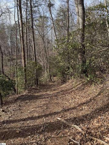 Butter Street Landrum SC 29356