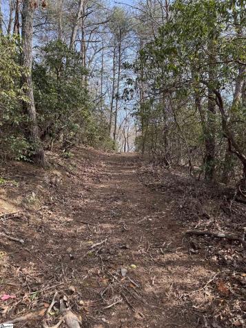 Butter Street Landrum SC 29356