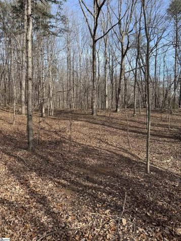 Butter Street Landrum SC 29356