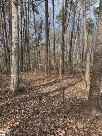 Butter Street Landrum SC 29356