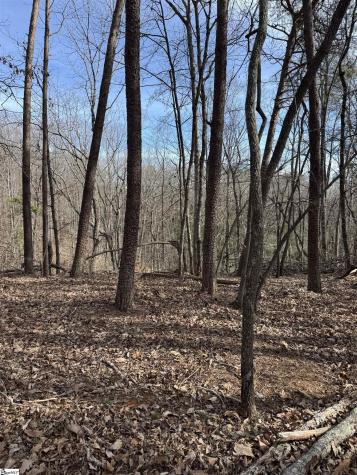 Butter Street Landrum SC 29356