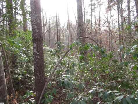 213 Falcon Crest Way Pickens SC 29671