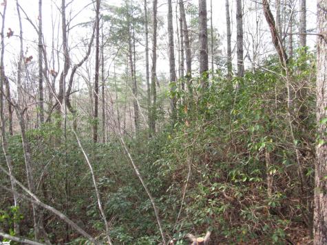 213 Falcon Crest Way Pickens SC 29671