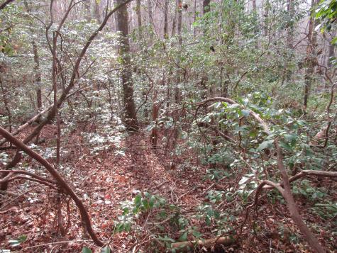 213 Falcon Crest Way Pickens SC 29671