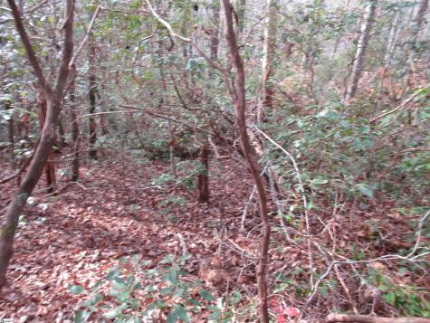 213 Falcon Crest Way Pickens SC 29671