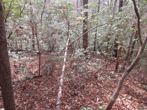 213 Falcon Crest Way Pickens SC 29671