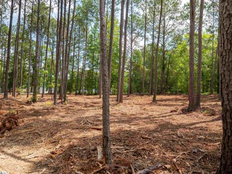 00 Cheek Road Gray Court SC 29645