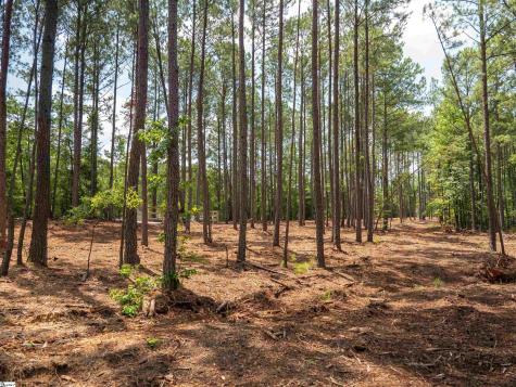 00 Cheek Road Gray Court SC 29645