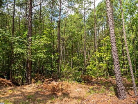 00 Cheek Road Gray Court SC 29645