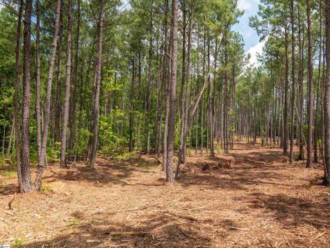 00 Cheek Road Gray Court SC 29645
