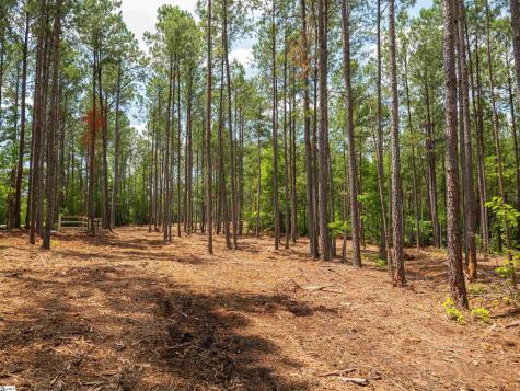 00 Cheek Road Gray Court SC 29645
