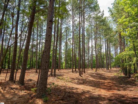 00 Cheek Road Gray Court SC 29645