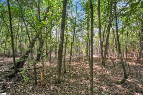 0 Linder Road Gaffney SC 29341