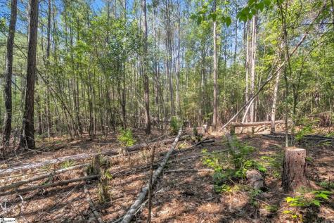 0 Linder Road Gaffney SC 29341